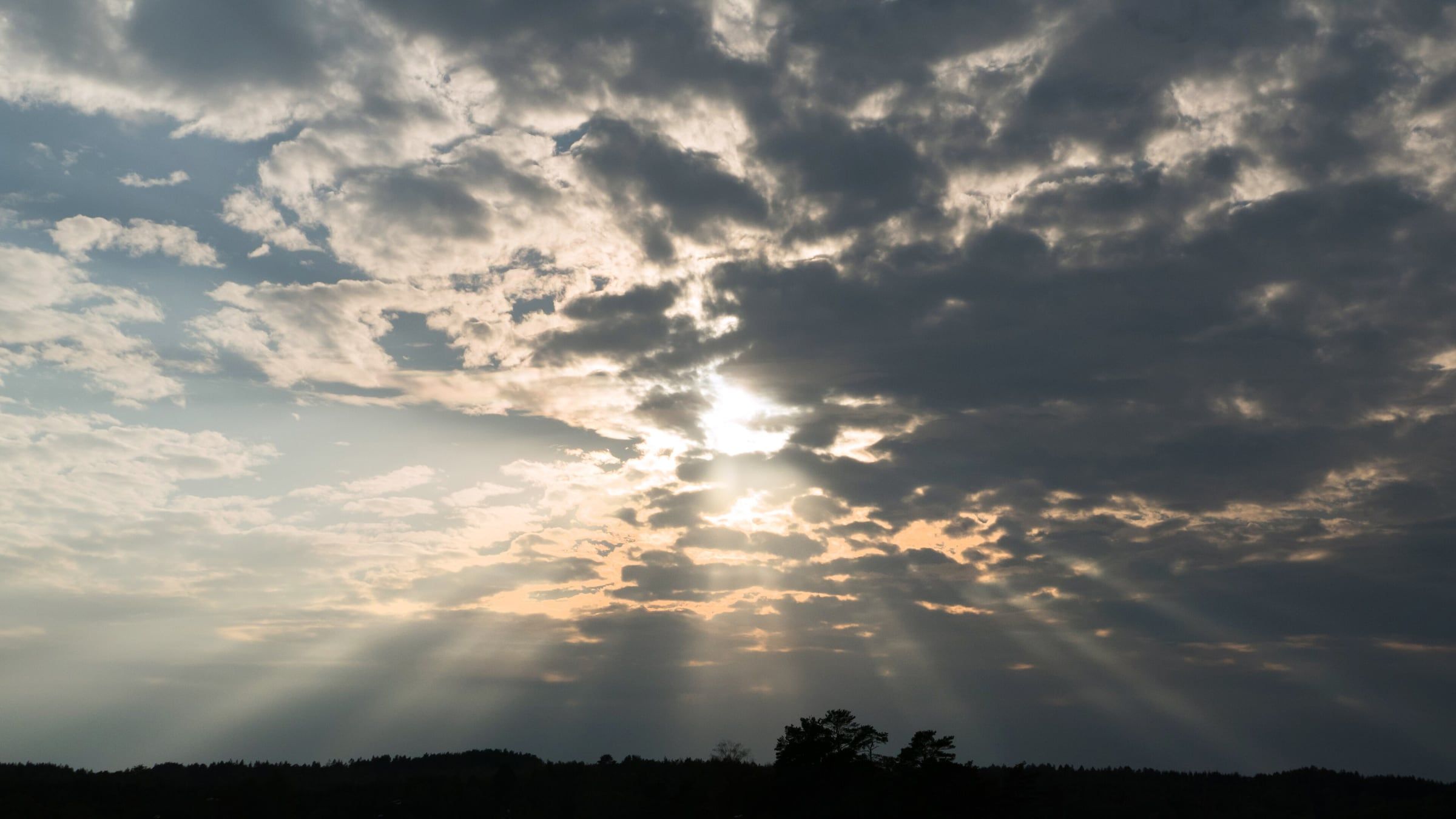 Rays of sunlight fanning out from behind clouds above a dark line of pine forest.